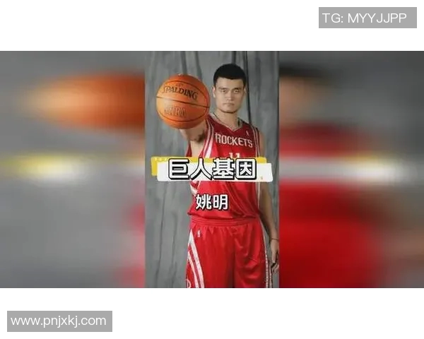 姚明传奇人生大银幕展现巨人风采与篮球梦想的电影之旅 姚明传奇人生大银幕展现巨人风采与篮球梦想的电影之旅
