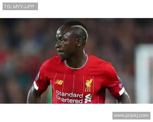 法国黑人足球明星德罗巴的传奇人生与足球成就探秘